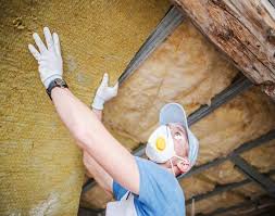Wet Insulation Removal in Nobleton, FL